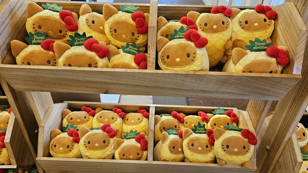 후기 사진