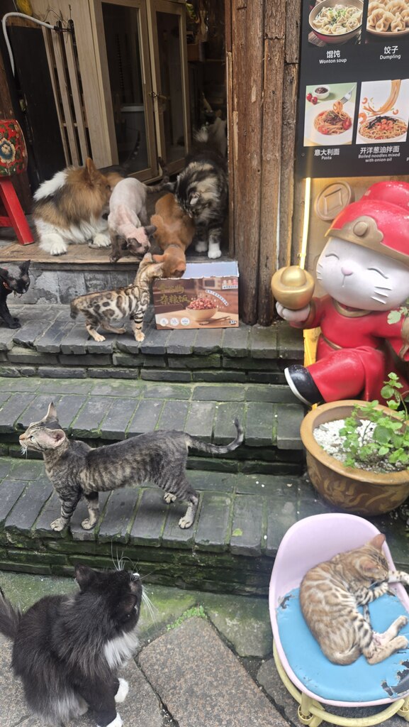 후기 사진