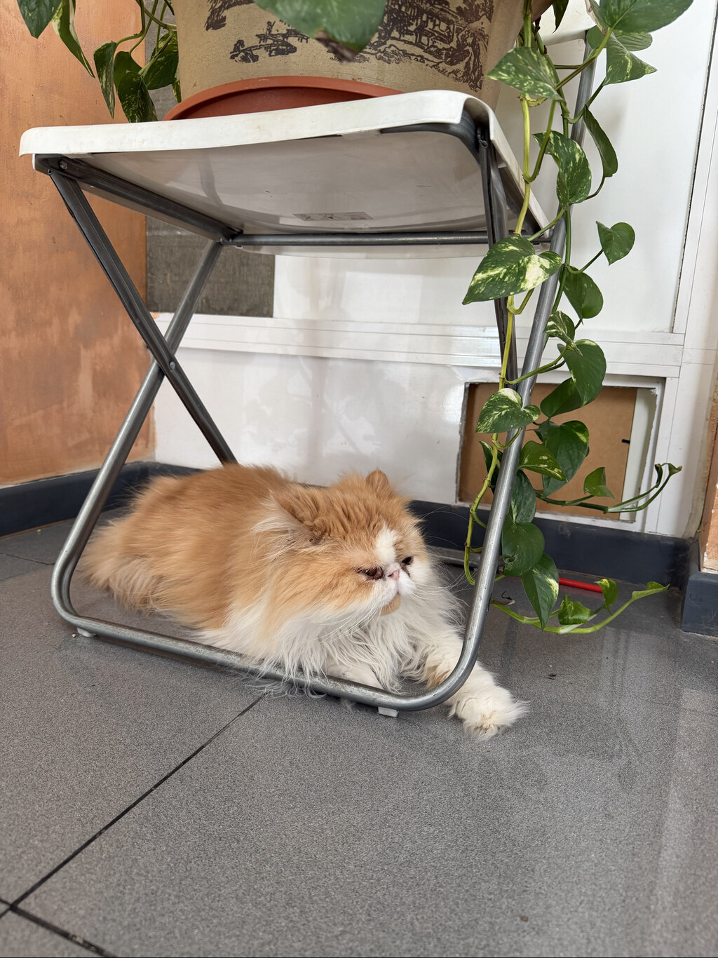 후기 사진