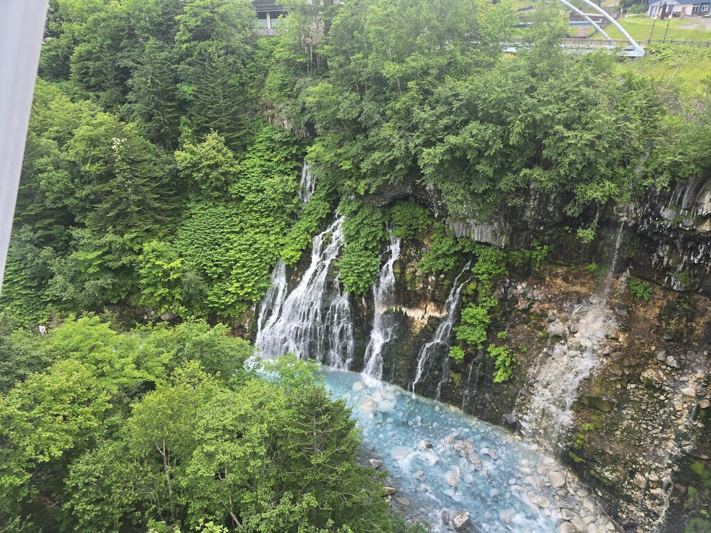후기 사진