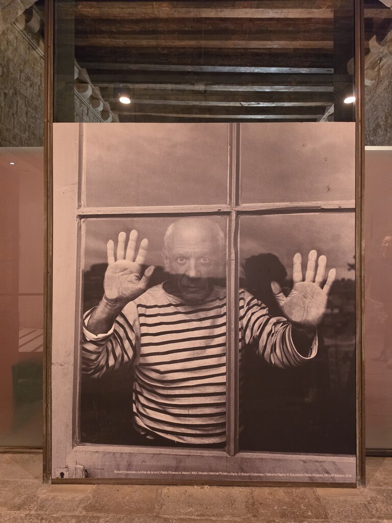후기 사진