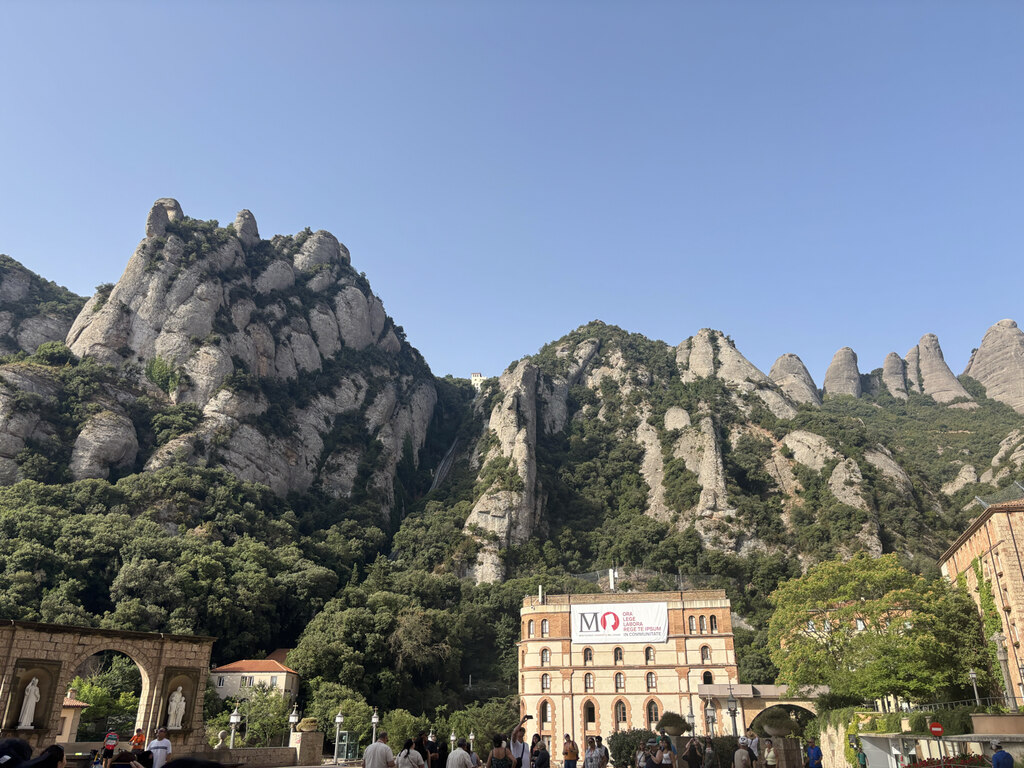 후기 사진