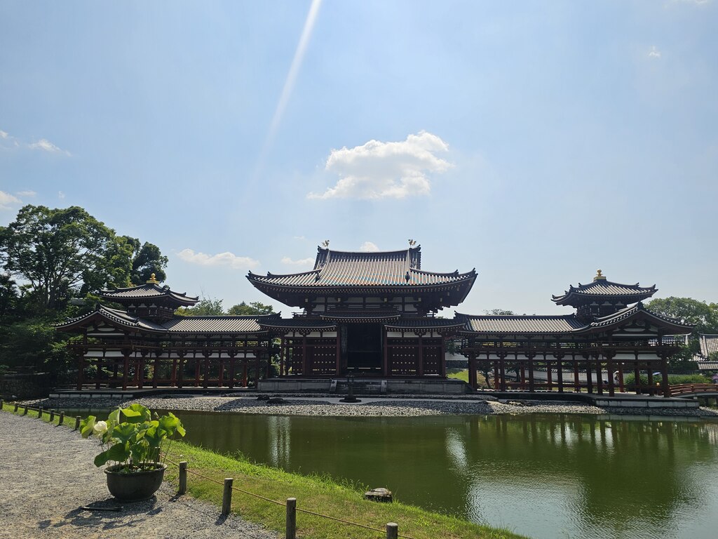 후기 사진