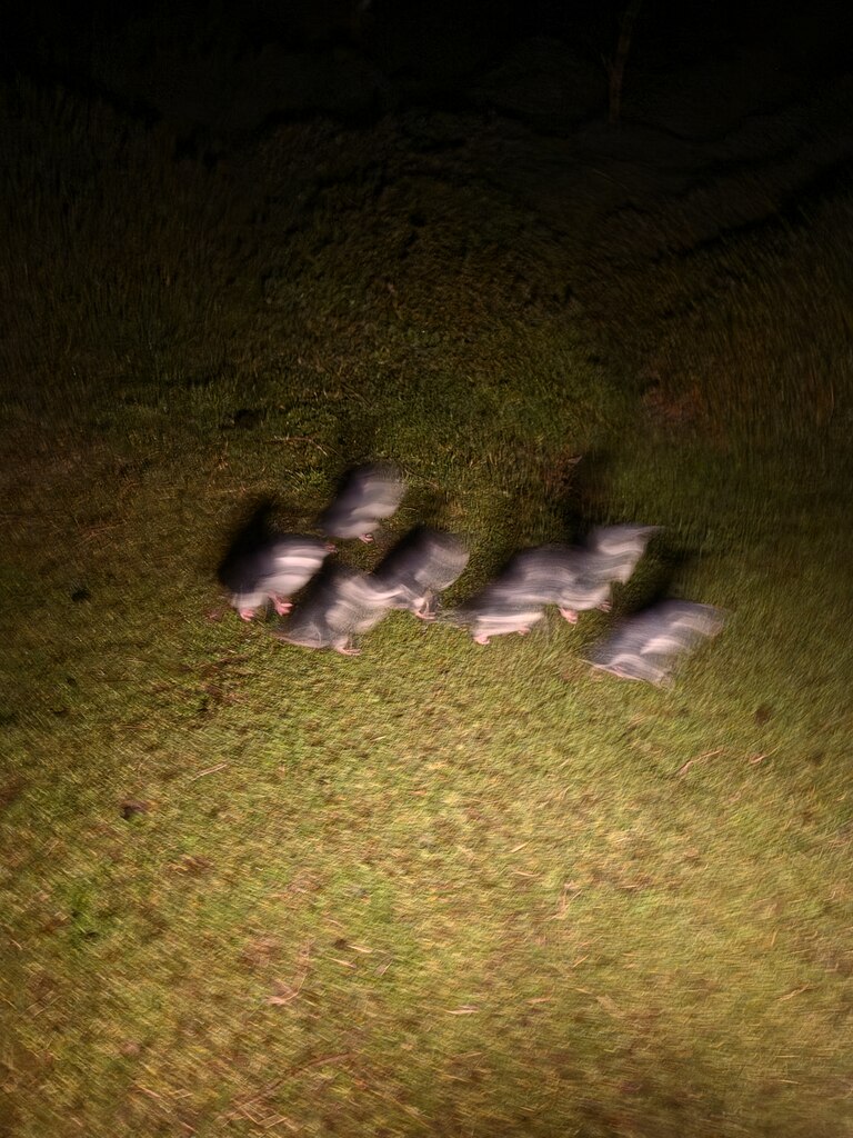 후기 사진