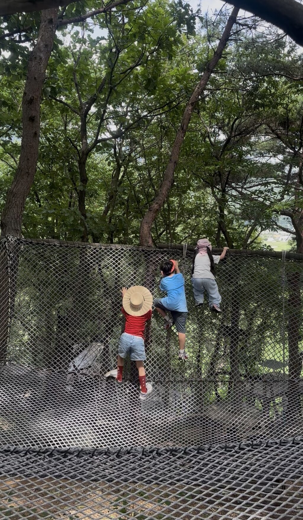 후기 사진